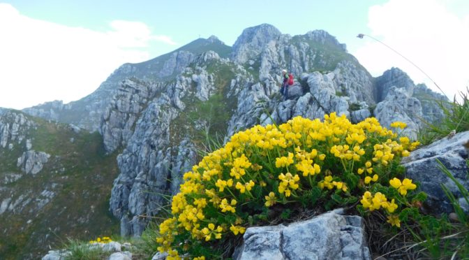 Ferrata Contessi e monte due mani