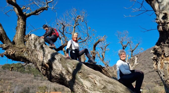 RISERVA NATURALE TORBIERE DEL SEBINO-MONTE COGNOLO